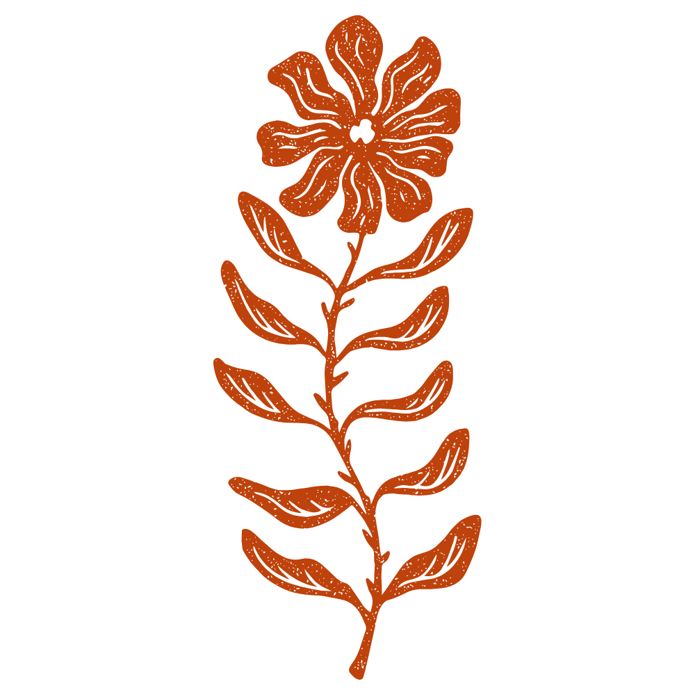 A hand-drawn orange flower with a black background.