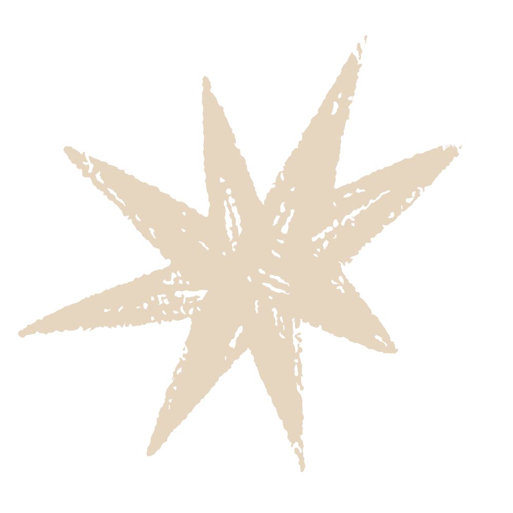 A beige star-shaped leaf with multiple pointed tips against a black background.