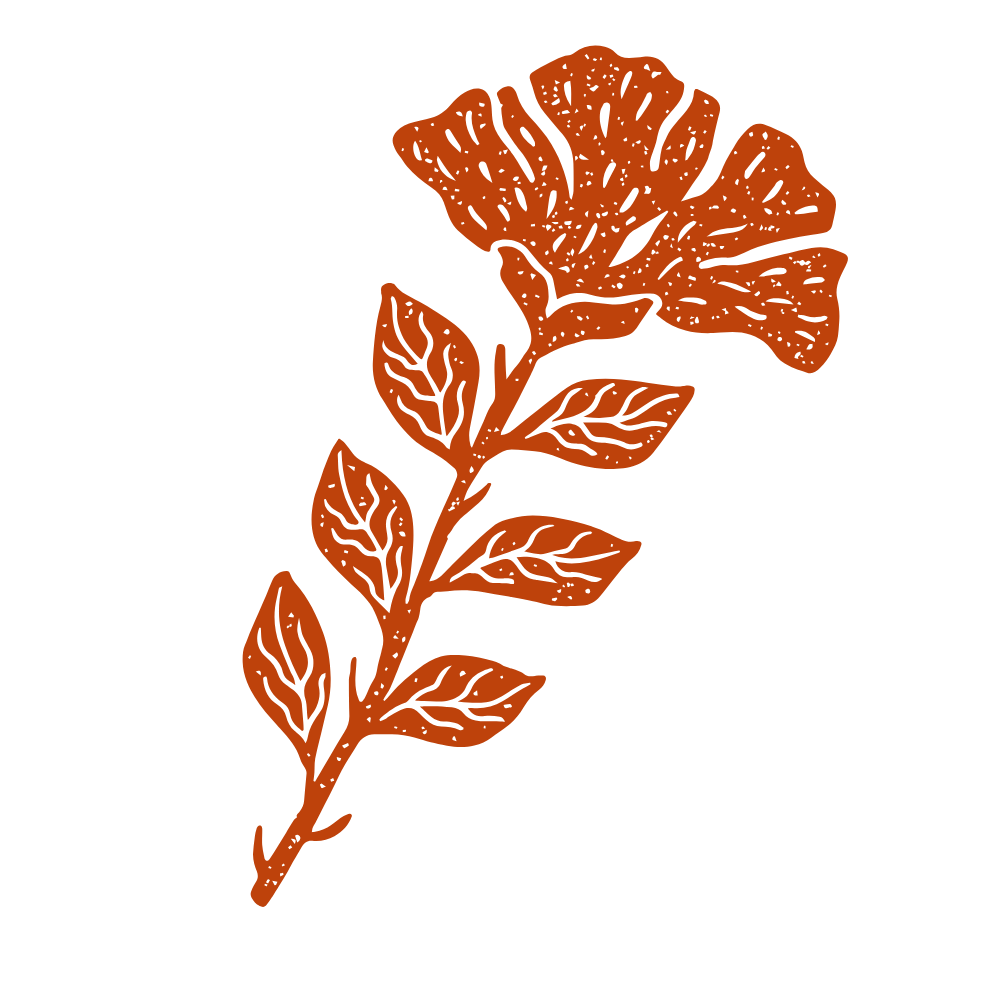 A brown line drawing of a ginkgo biloba leaf with a flower at the top, set against a black background.