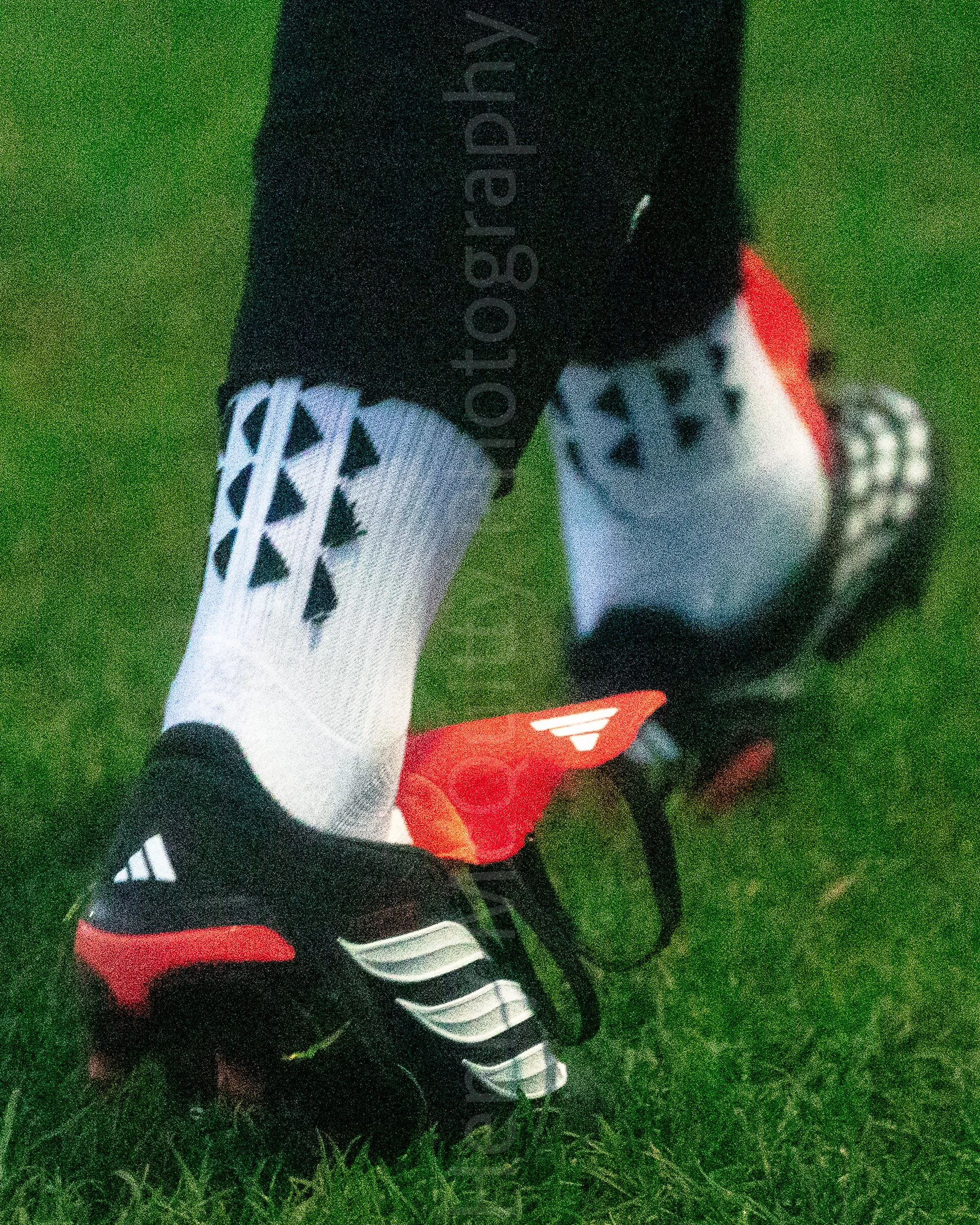 310326 - SMvGRngs - vertical-05.jpg