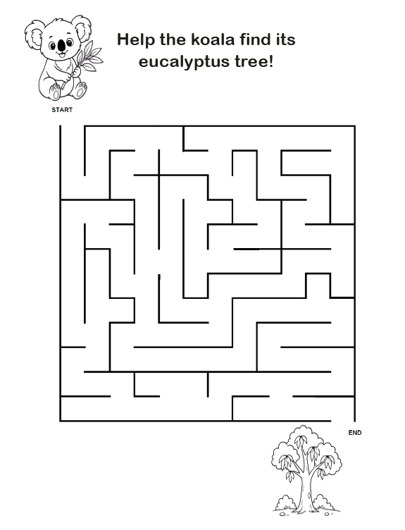 A+ Maze Page.png
