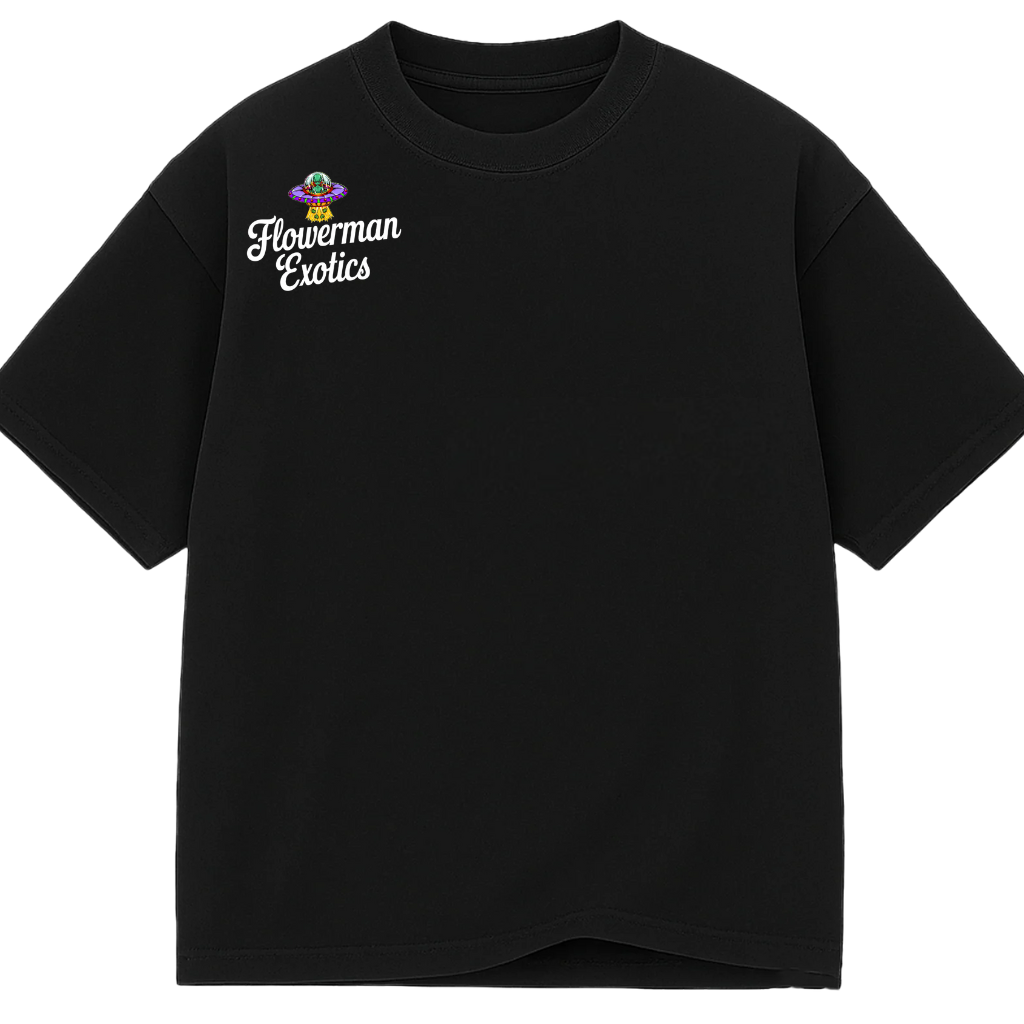 Adventurous Cannabis Logo with UFO Elements (8).png