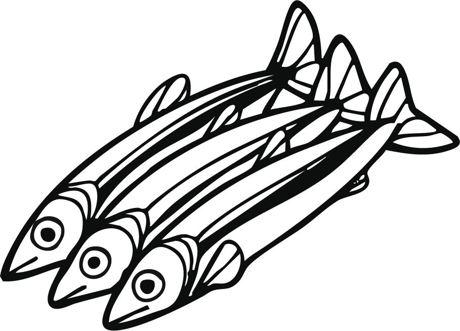 Drawing of three fish on a black background.