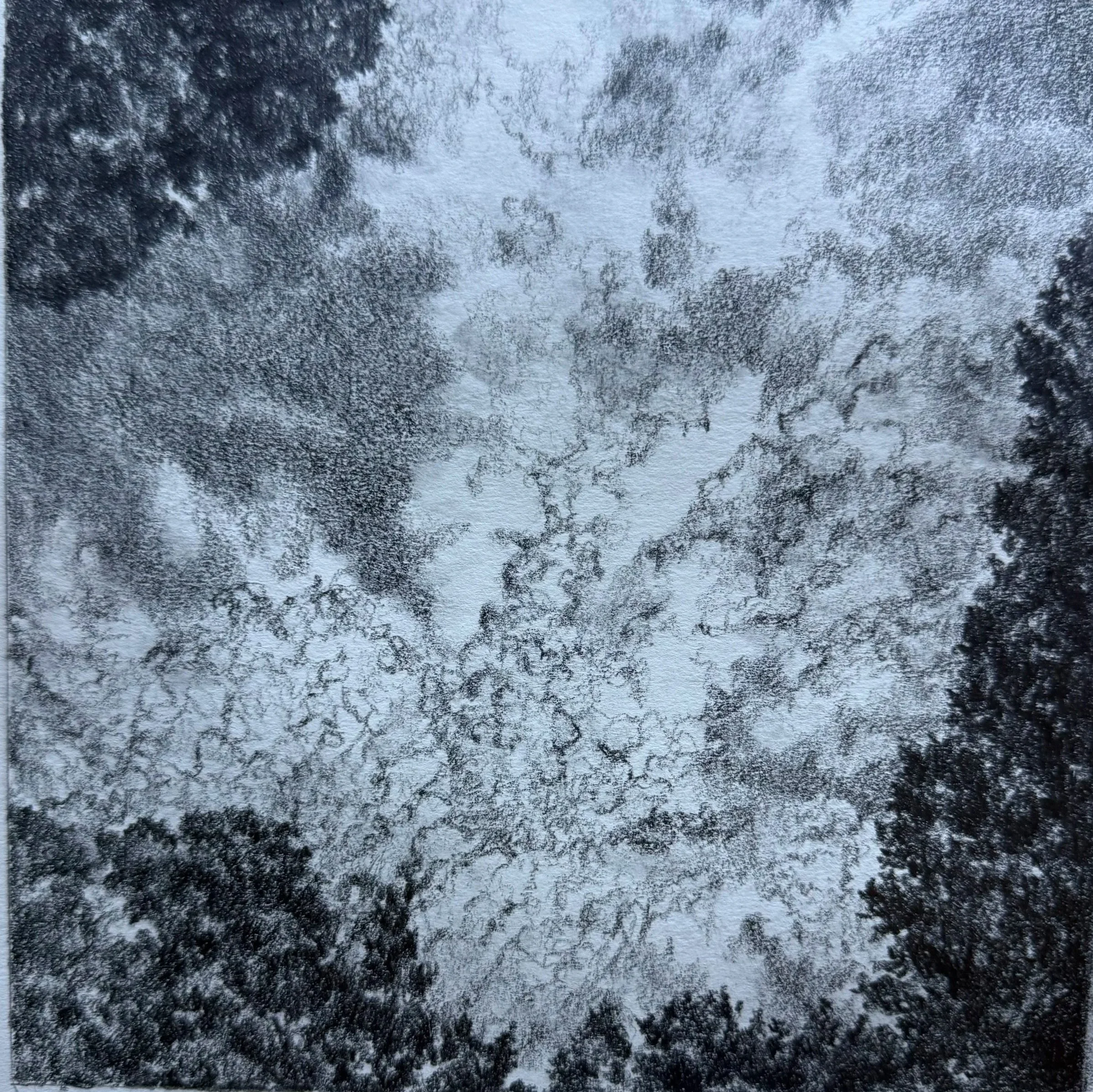 Clouds in graphite pencil Bev Miller Hudson Valley artist