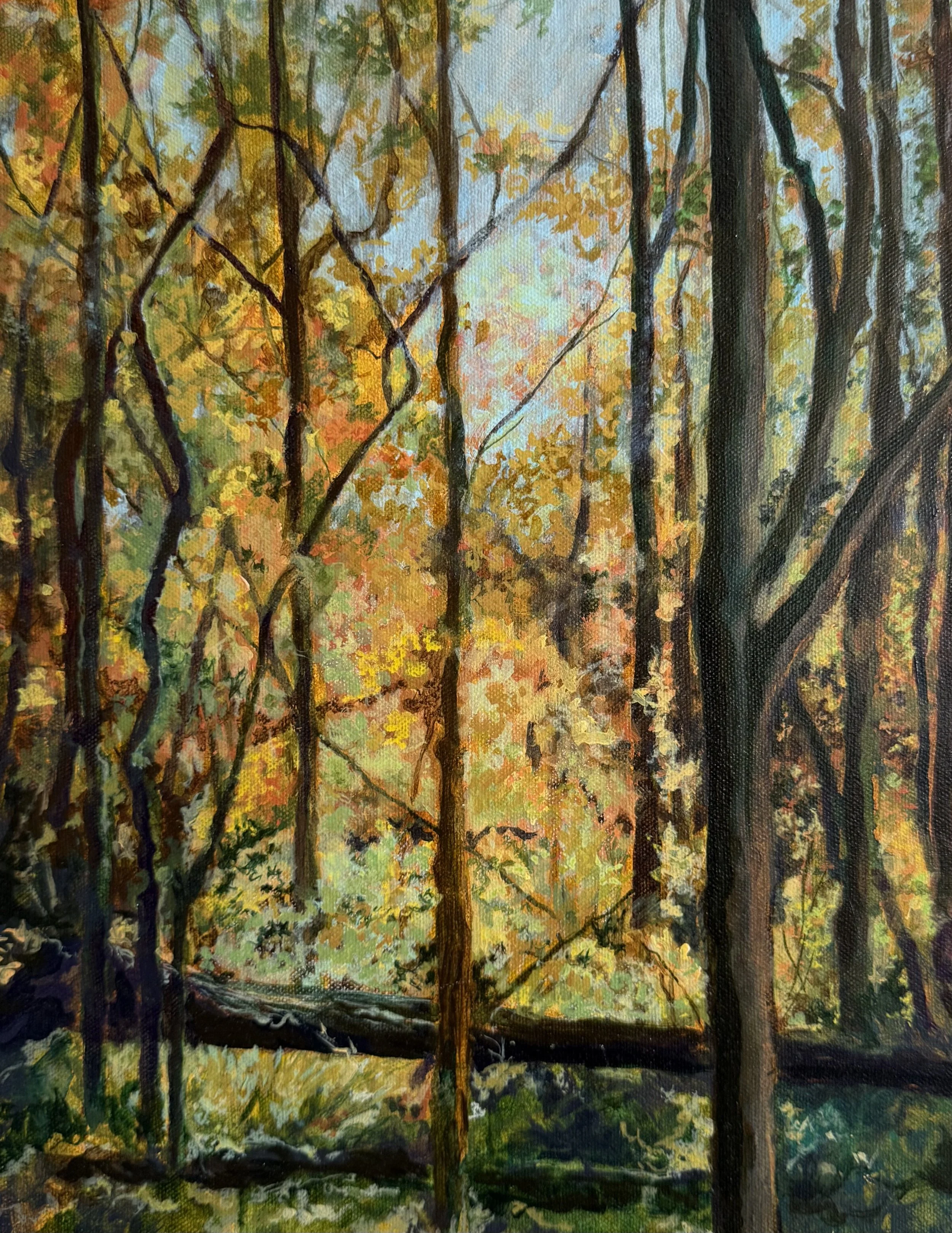 autumn woods by Bev Miller Hudson Valley artist
