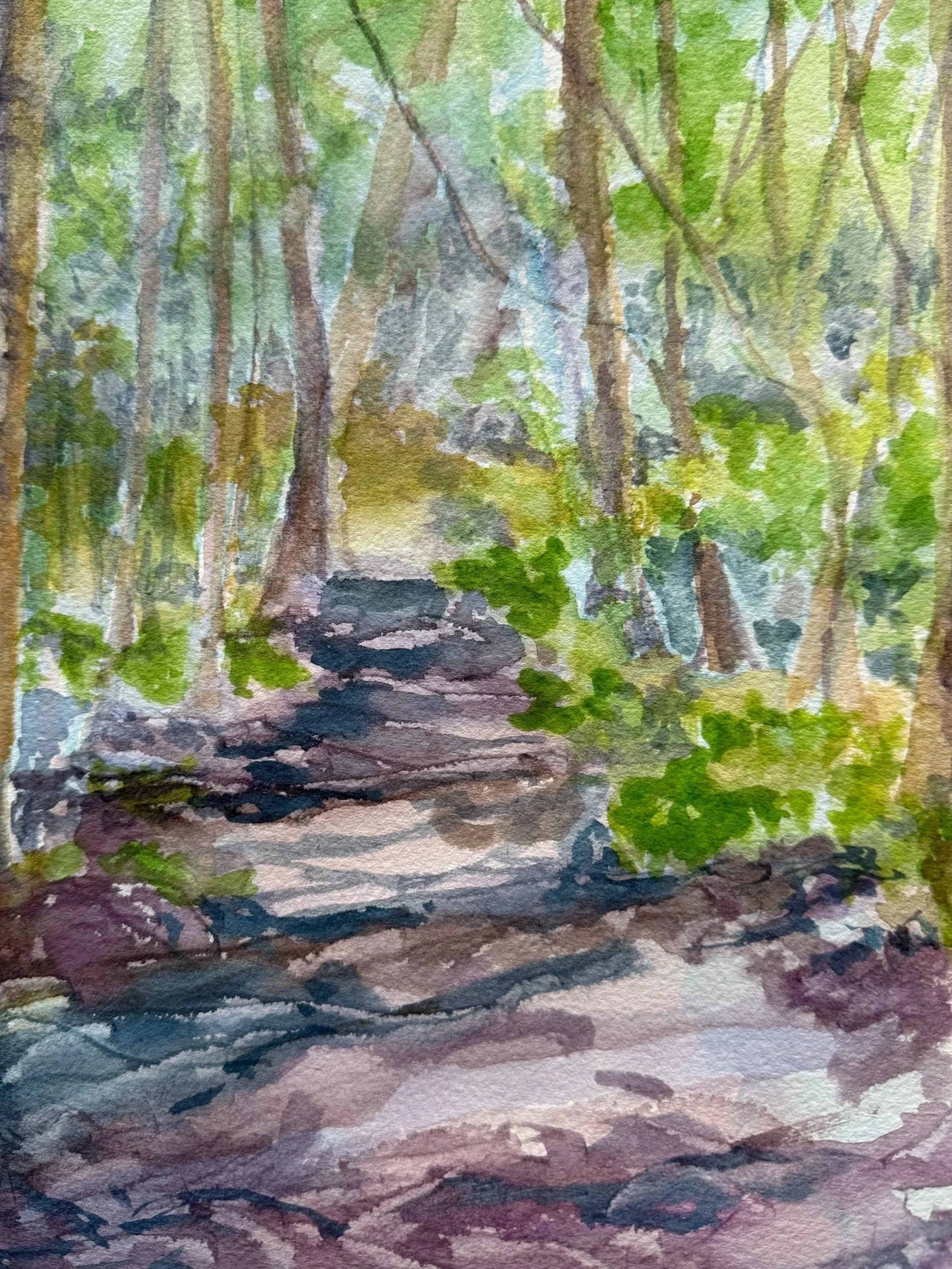 Watercolor painting of a forest trail with trees, rocks, and green foliage.