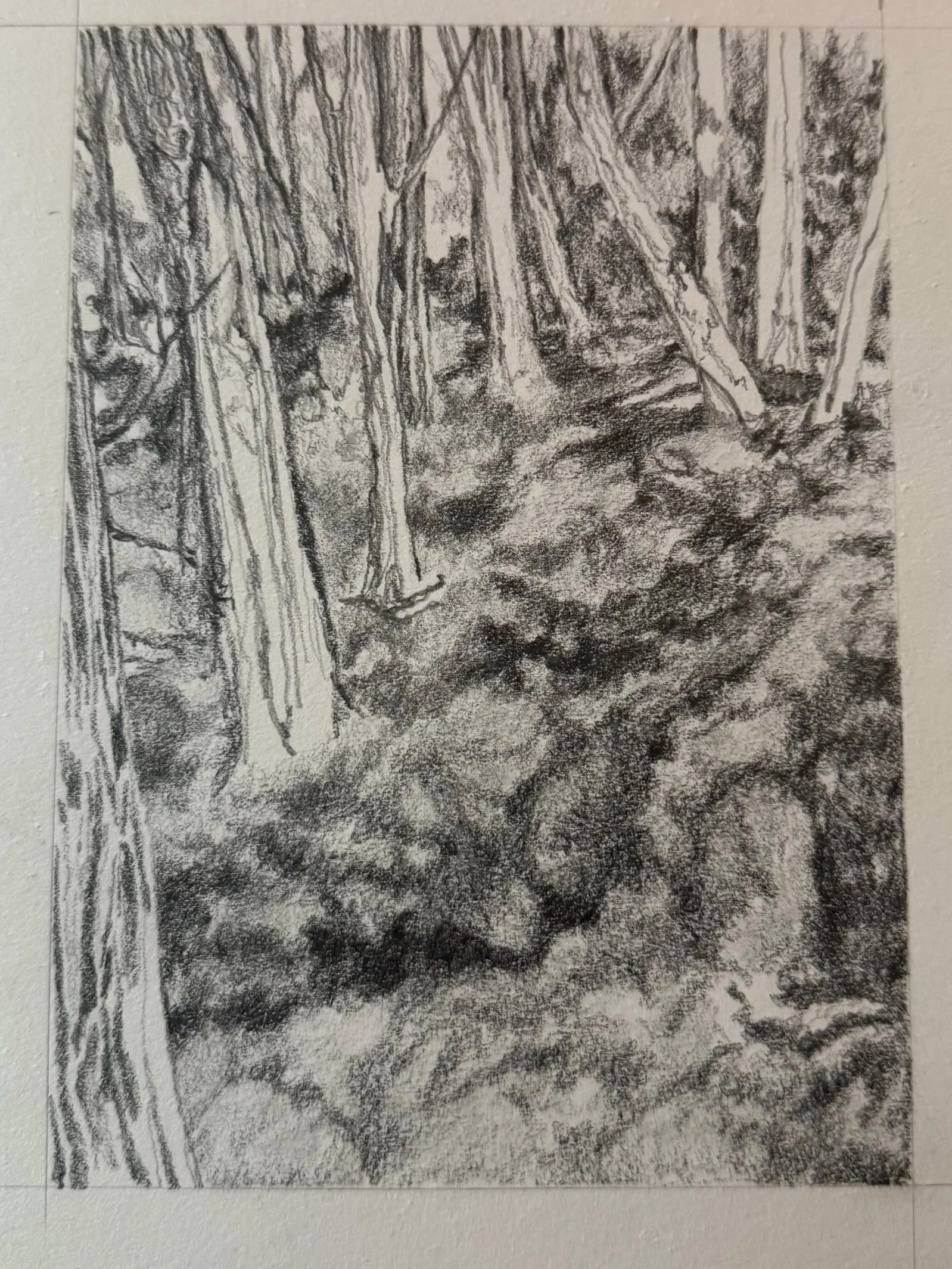 A pencil sketch of a wooded landscape with trees and rocks on a trail.