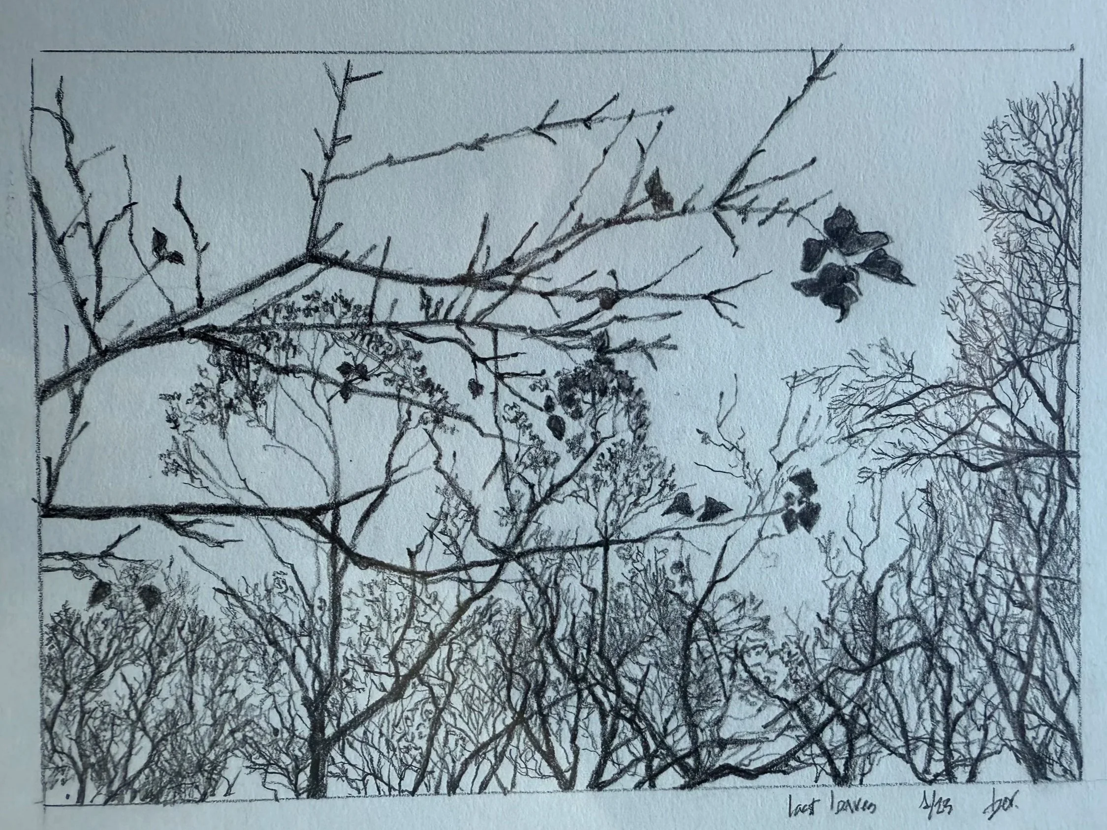 Black and white sketch of leafless trees with a few remaining leaves, set against a cloudy sky.