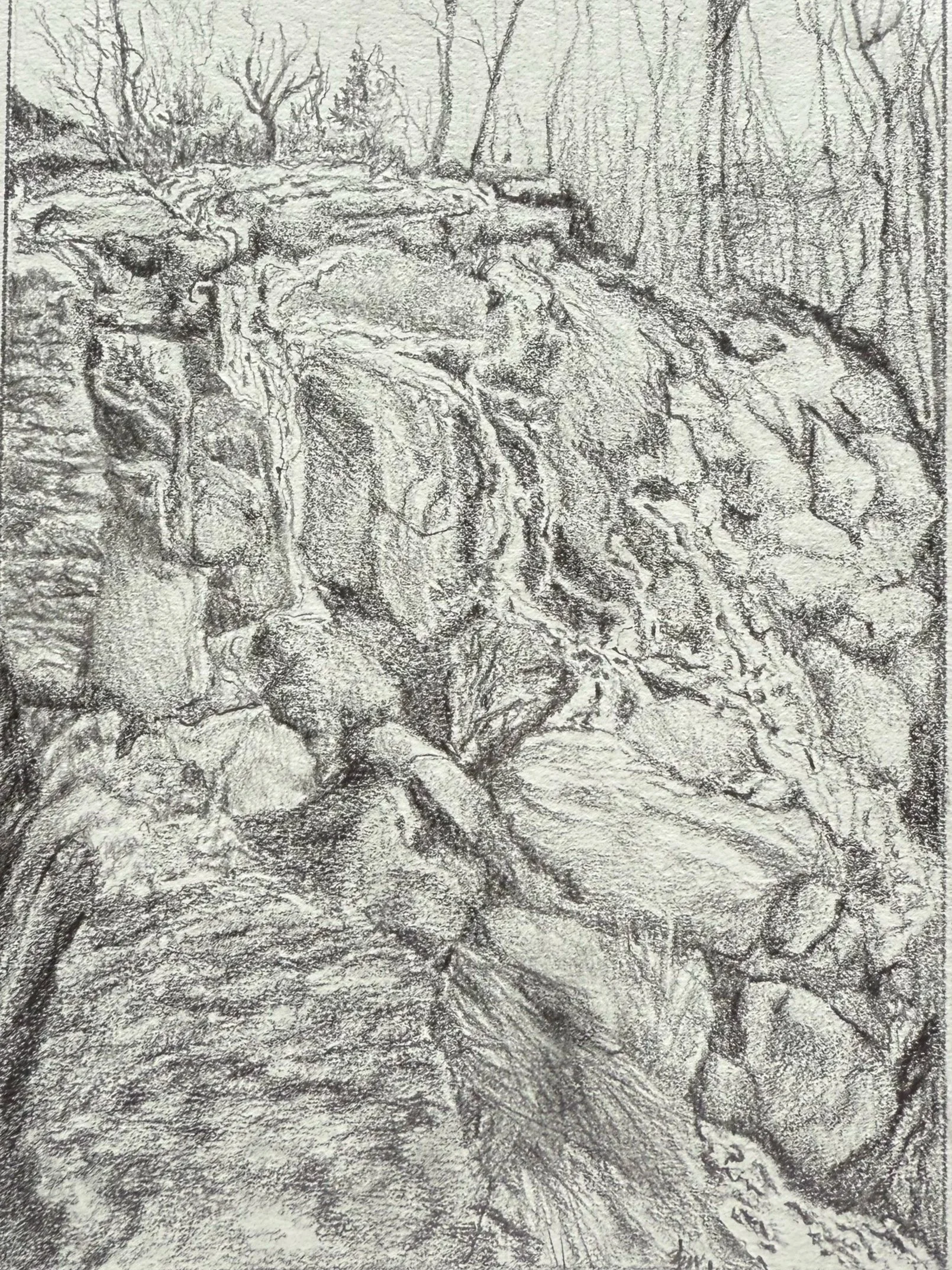 A detailed pencil sketch of a rocky cliff or mountainside with trees in the background.