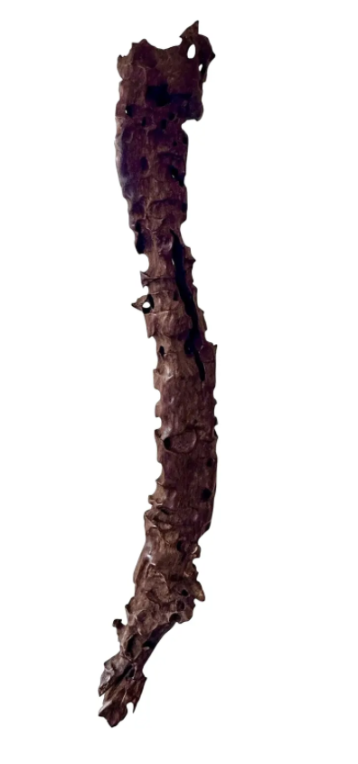 Modern Art Polished Driftwood Sculpture