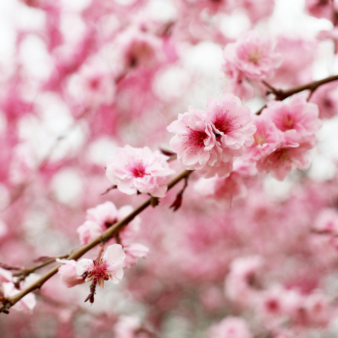 Spring Plumbing Problems That Start in Winter (And How to Catch Them Early)