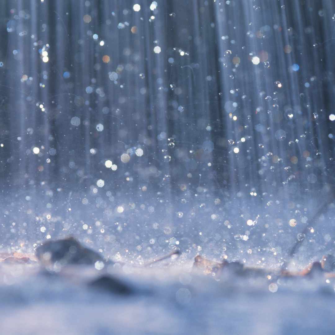 What Spring Rain Reveals About Your Plumbing System