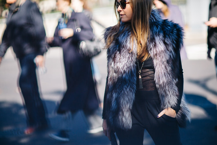 Fun With Fabulous Fur 