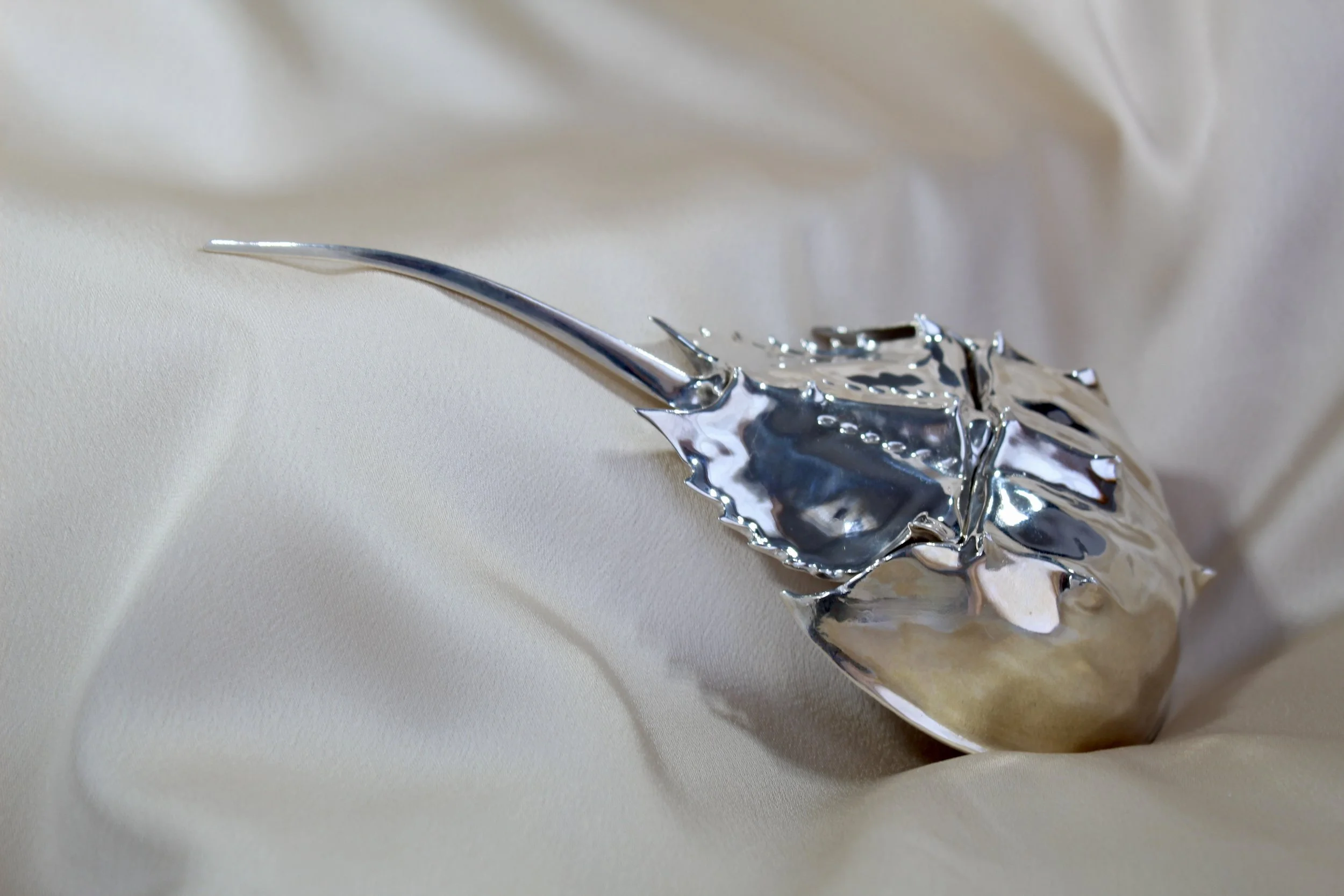 HorseshoeCrab Paperweight Silver.jpeg