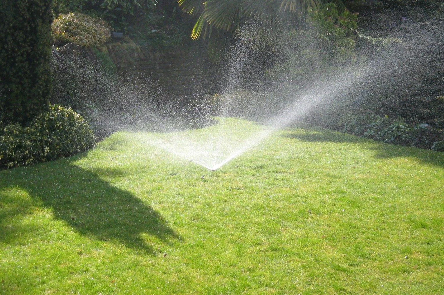 A lawn being watered by a garden irrigation sprinkler, spraying water in a wide arc across the grass.