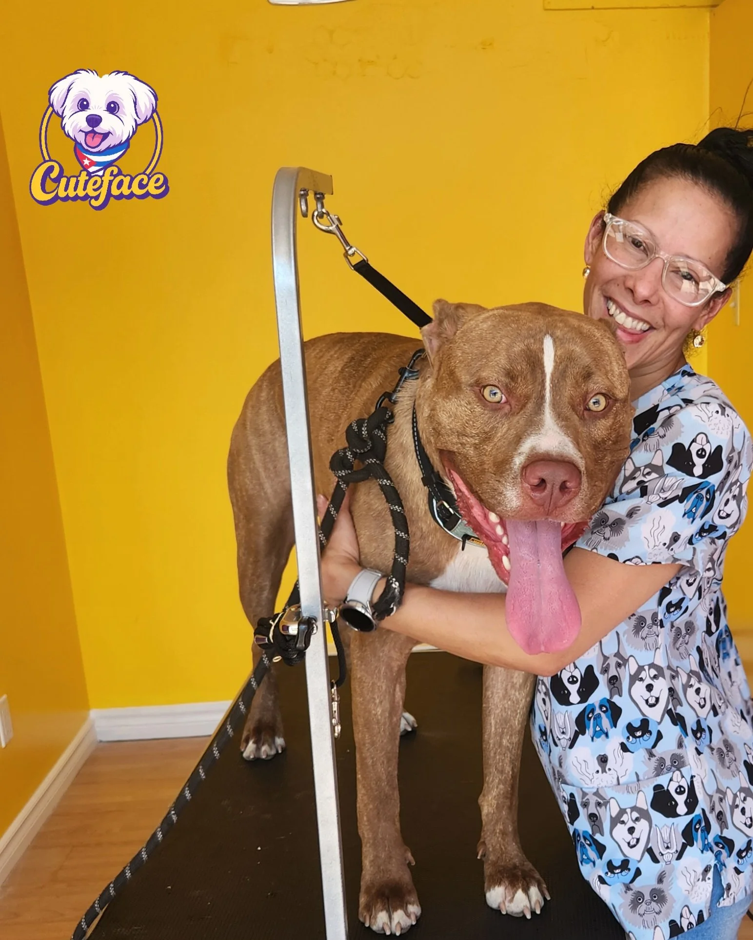 A woman smiling and hugging a large brown pitbull on a grooming table, with a yellow wall in the background. The woman is wearing glasses and a shirt with various dog faces printed on it.