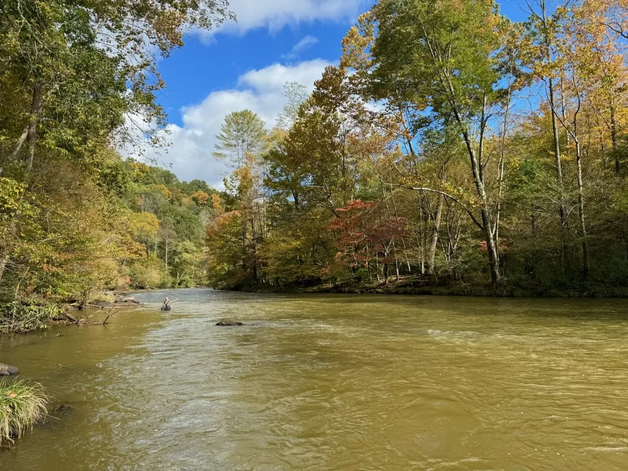 A river flowing through a forest with trees displaying autumn foliage, under a partly cloudy blue sky.