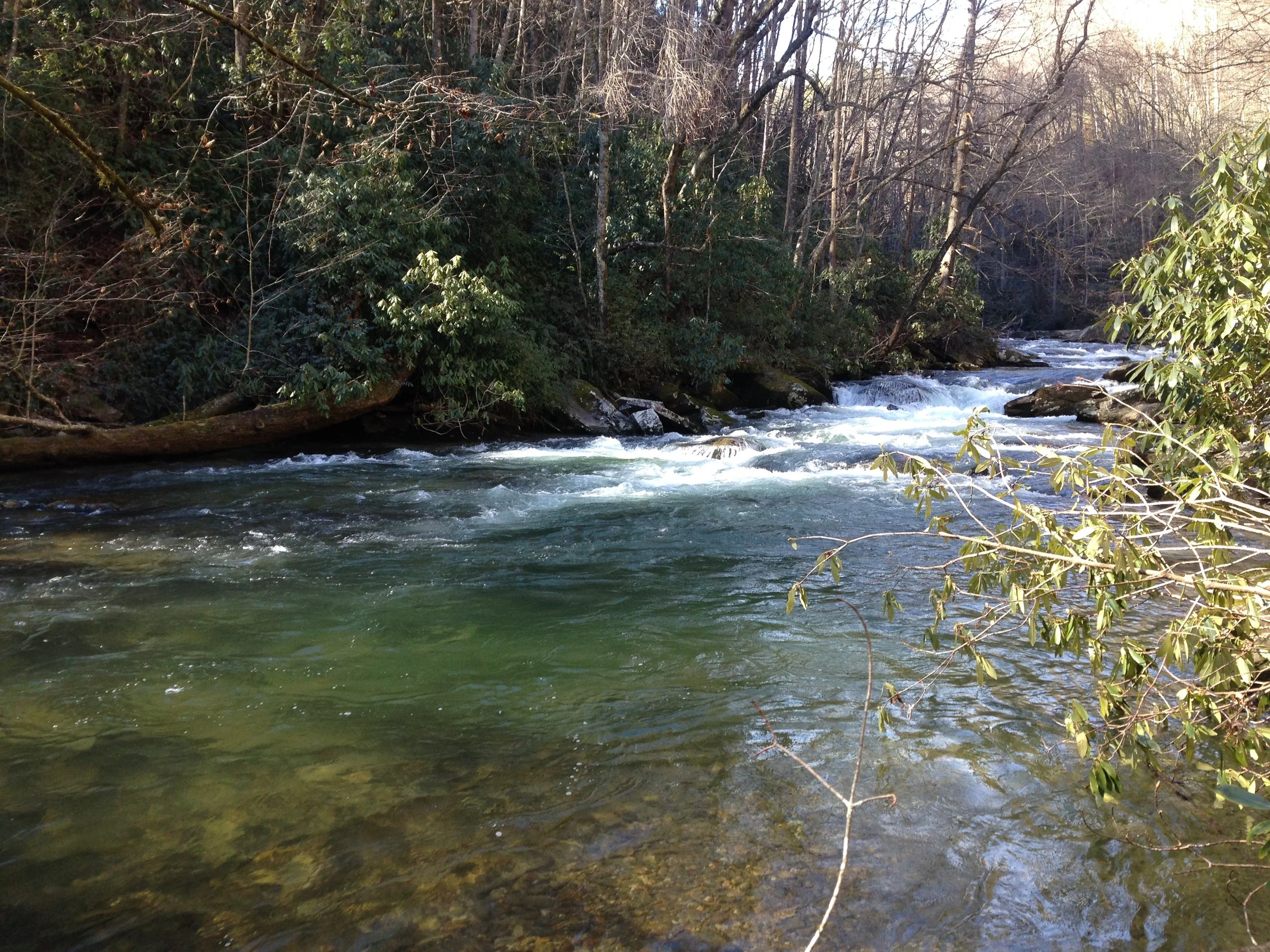 A flowing river with rocks and lush green trees on both sides, some bare branches, under a partly sunny sky in a forested area.