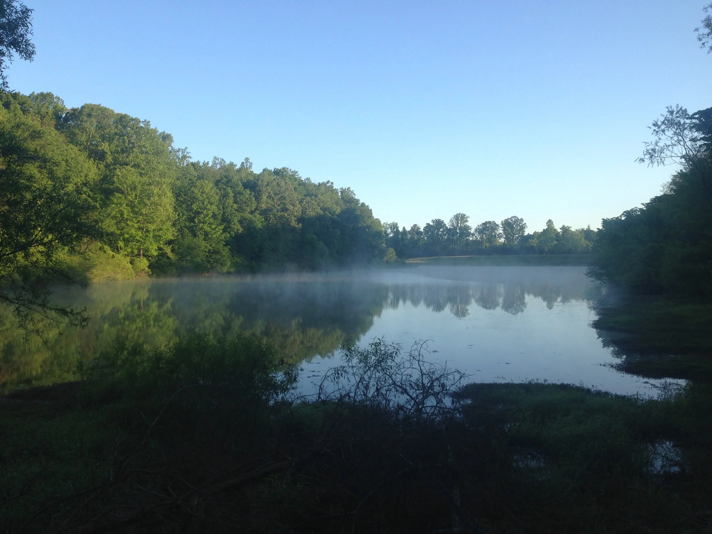 A calm river surrounded by green trees with a clear blue sky reflected in the water, early morning mist near the surface of the river.