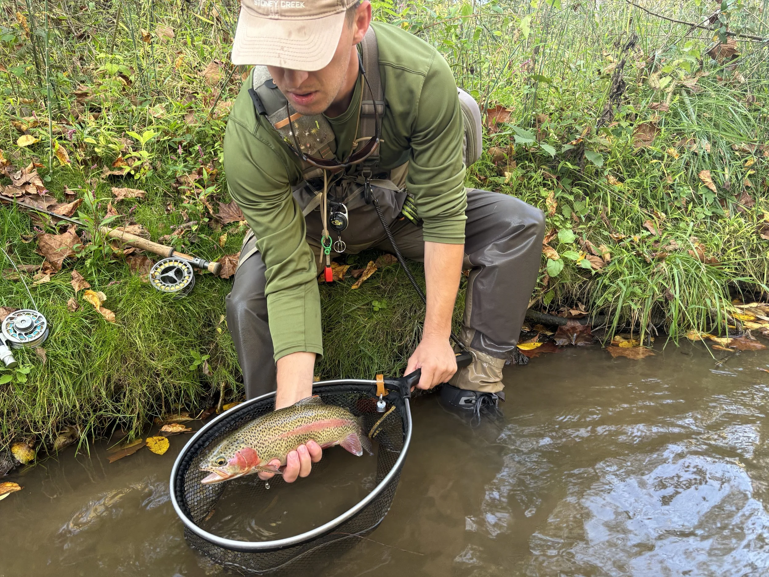 A man in outdoor fishing gear holding a large rainbow trout in a fishing net at the edge of a creek surrounded by green plants and fallen leaves.