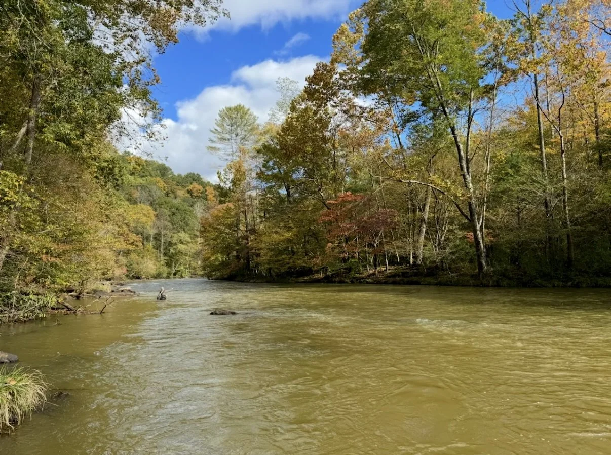 River flowing through a forest with colorful autumn leaves under a blue sky with clouds.