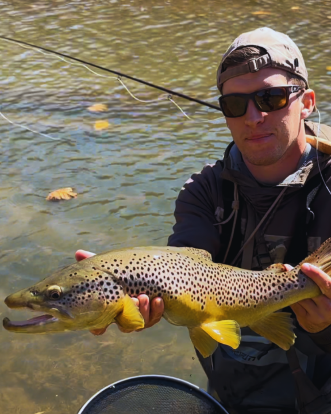 A man wearing sunglasses, a cap, and outdoor clothing holding a large spotted fish over clear water with floating leaves.