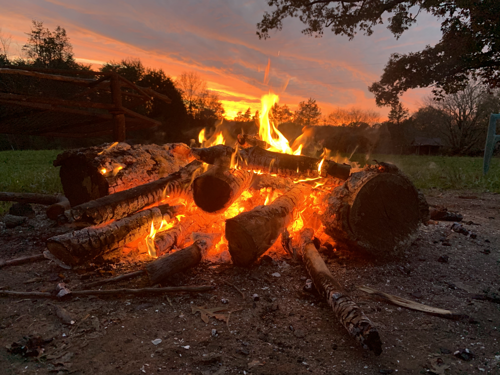A campfire with burning logs and flames during sunset in a natural outdoor setting with trees and a fence in the background.