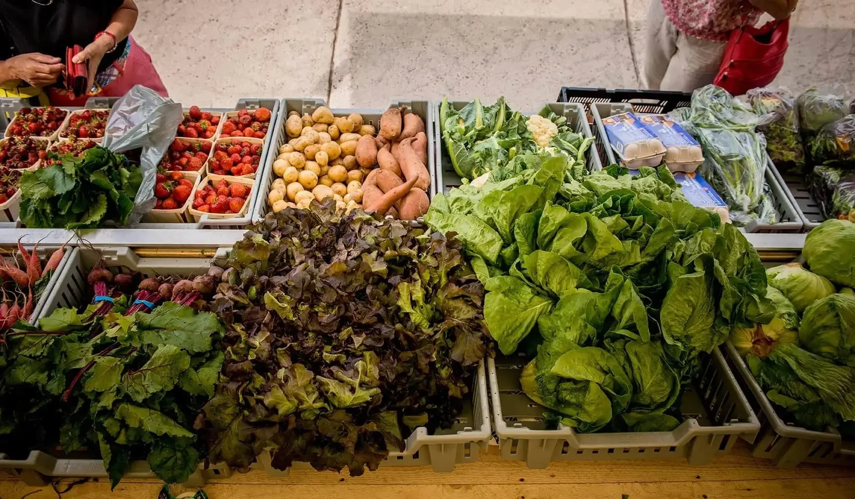 Technology for Mobile Markets: POS, Inventory, and Scheduling Tools