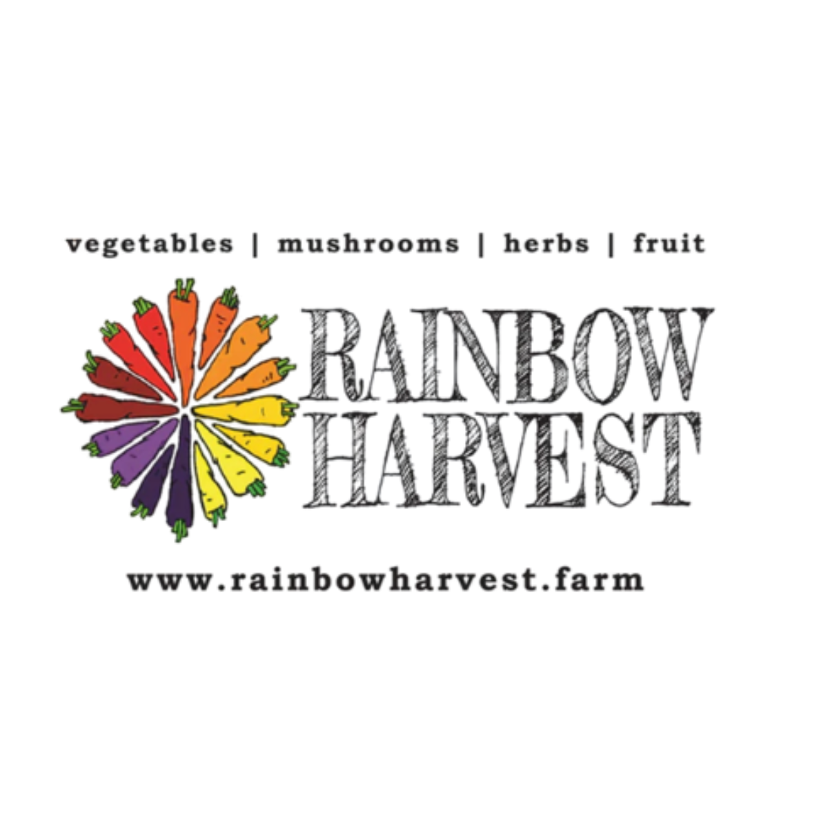 Colorful pictogram of vegetables arranged in a semicircle to the left of the text 'Raisin' in large metallic letters, with additional small text beneath.