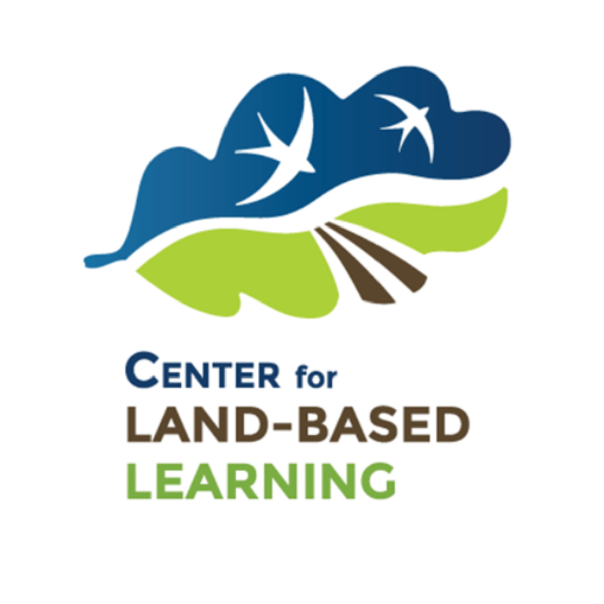 Logo featuring a blue cloud with a green landscape and a brown road leading into the distance, with text 'CYBER LAND BASED LEARNING' below.