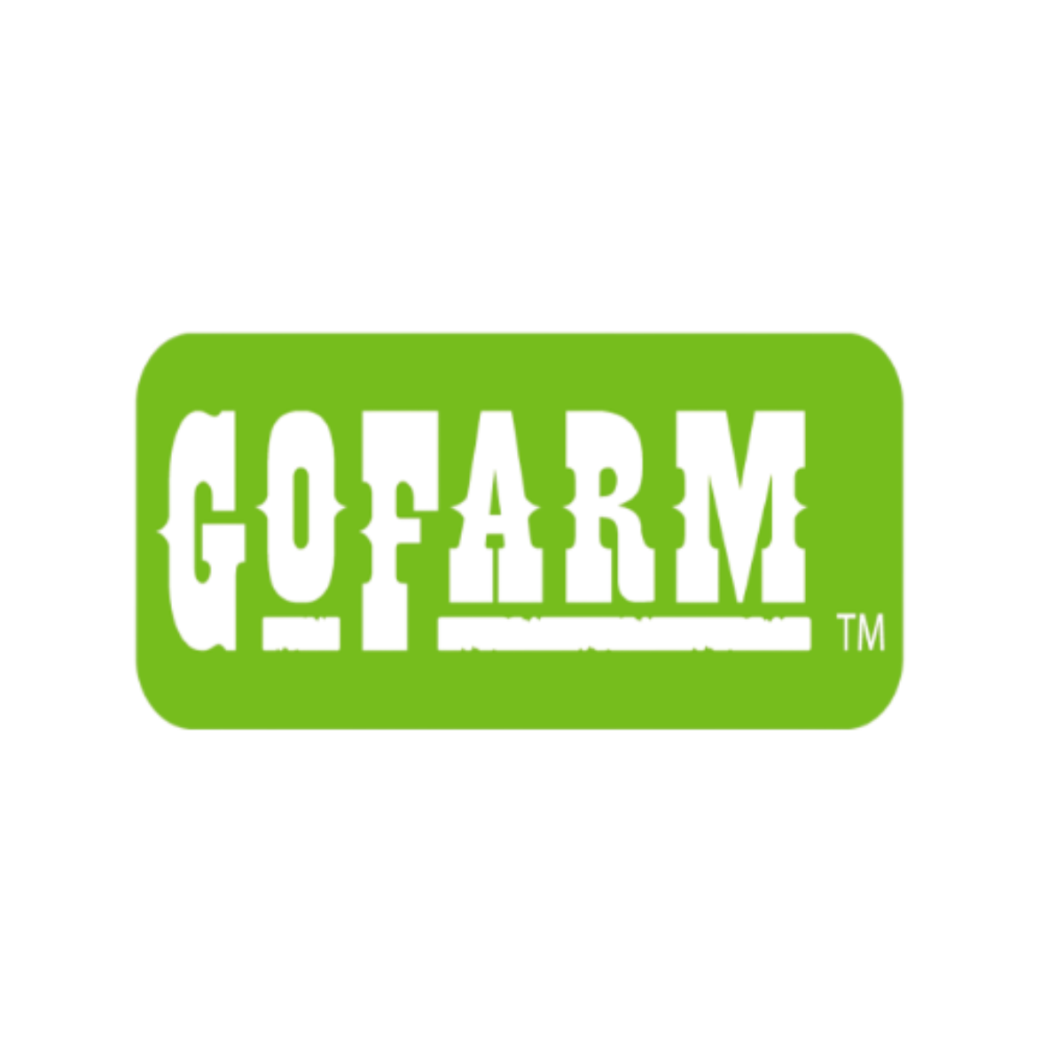 The image shows a colorful, pixelated logo with the word 'GORM' on a green background.