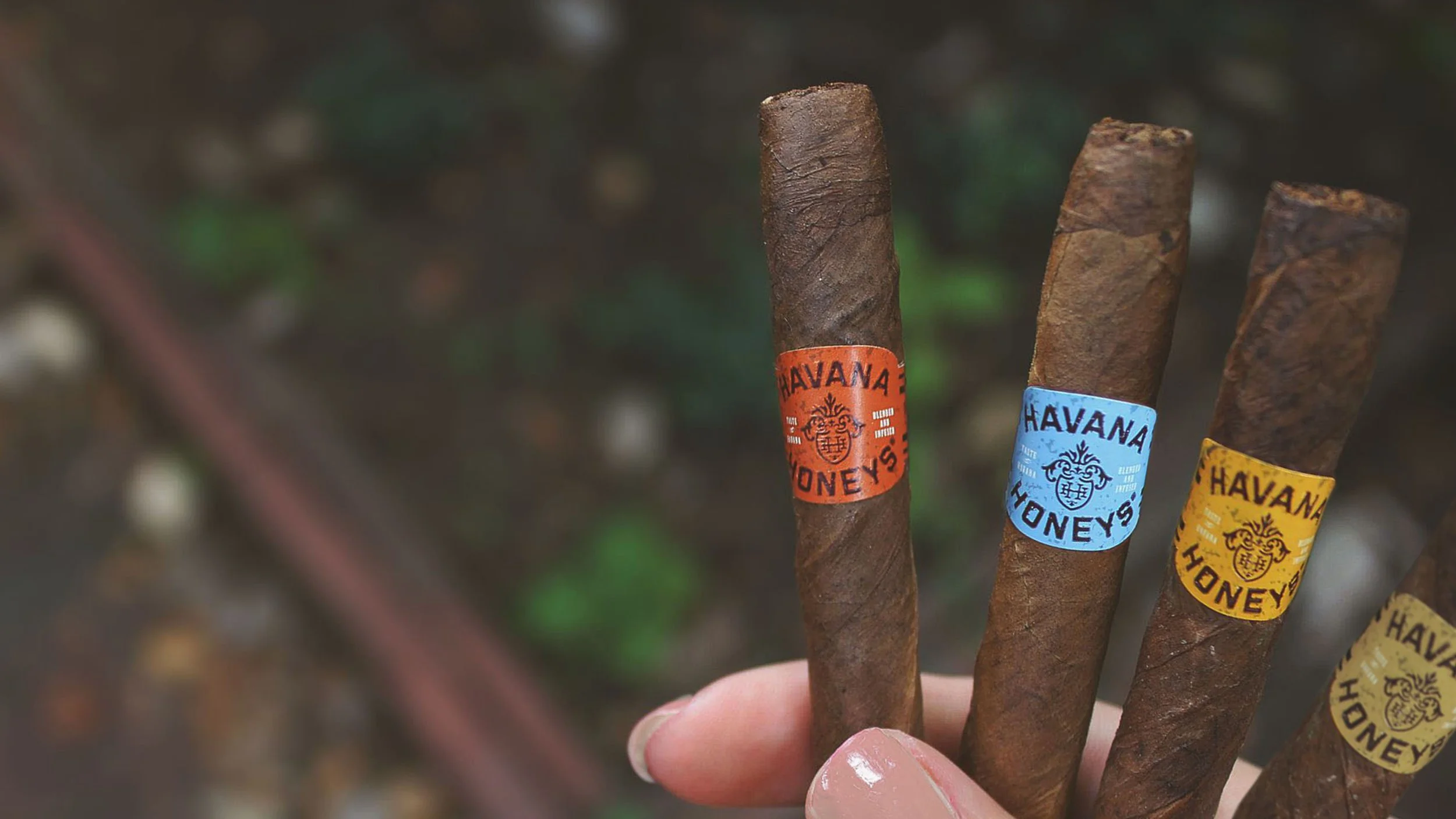Havana Honeys_04.jpg