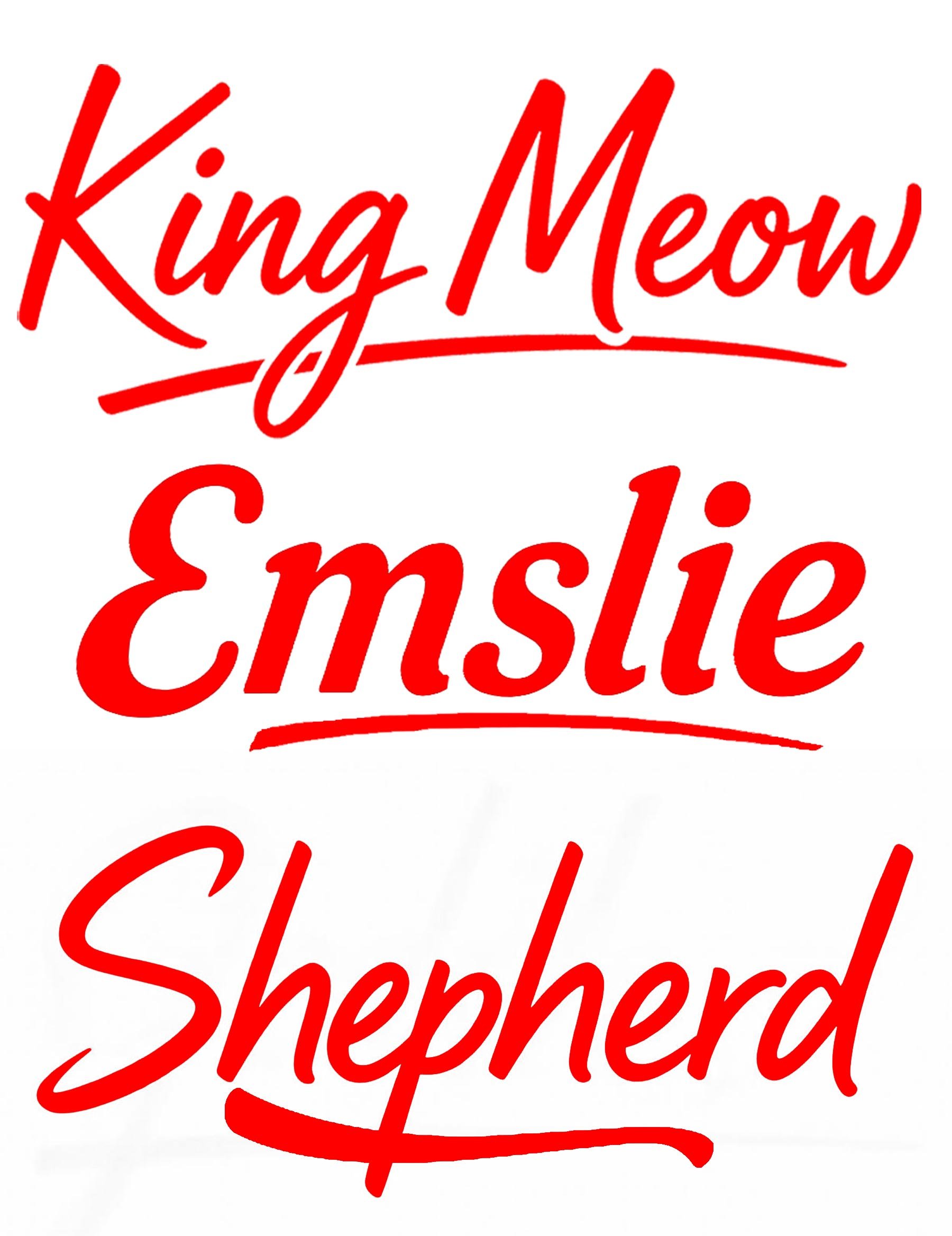 script samples.jpg