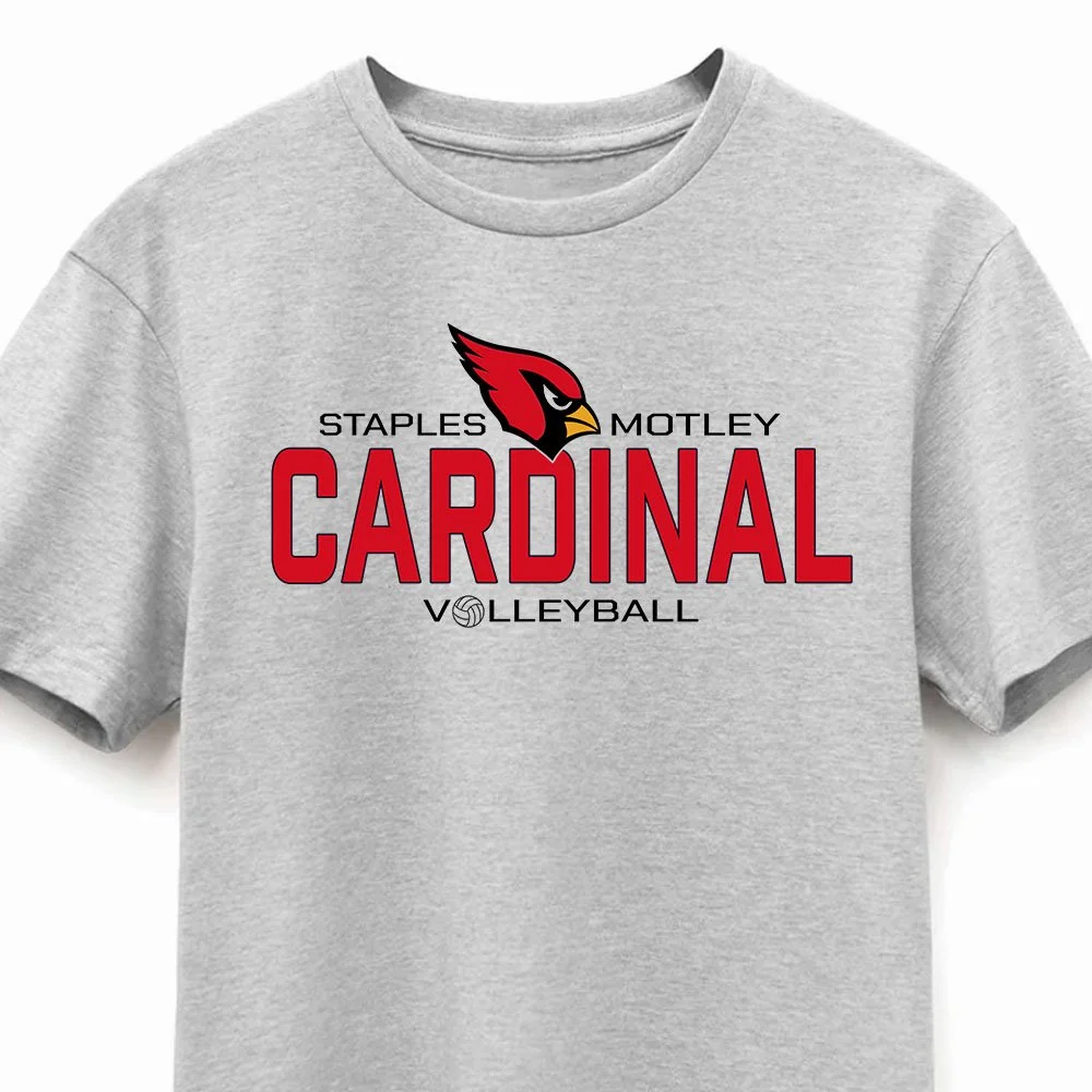 VB: T-Shirt, Gray (Adult + Youth)