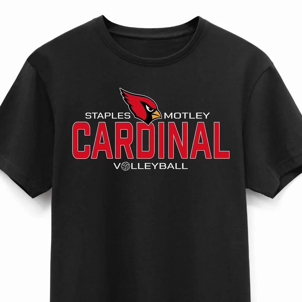 VB: T-Shirt, Black (Adult + Youth)