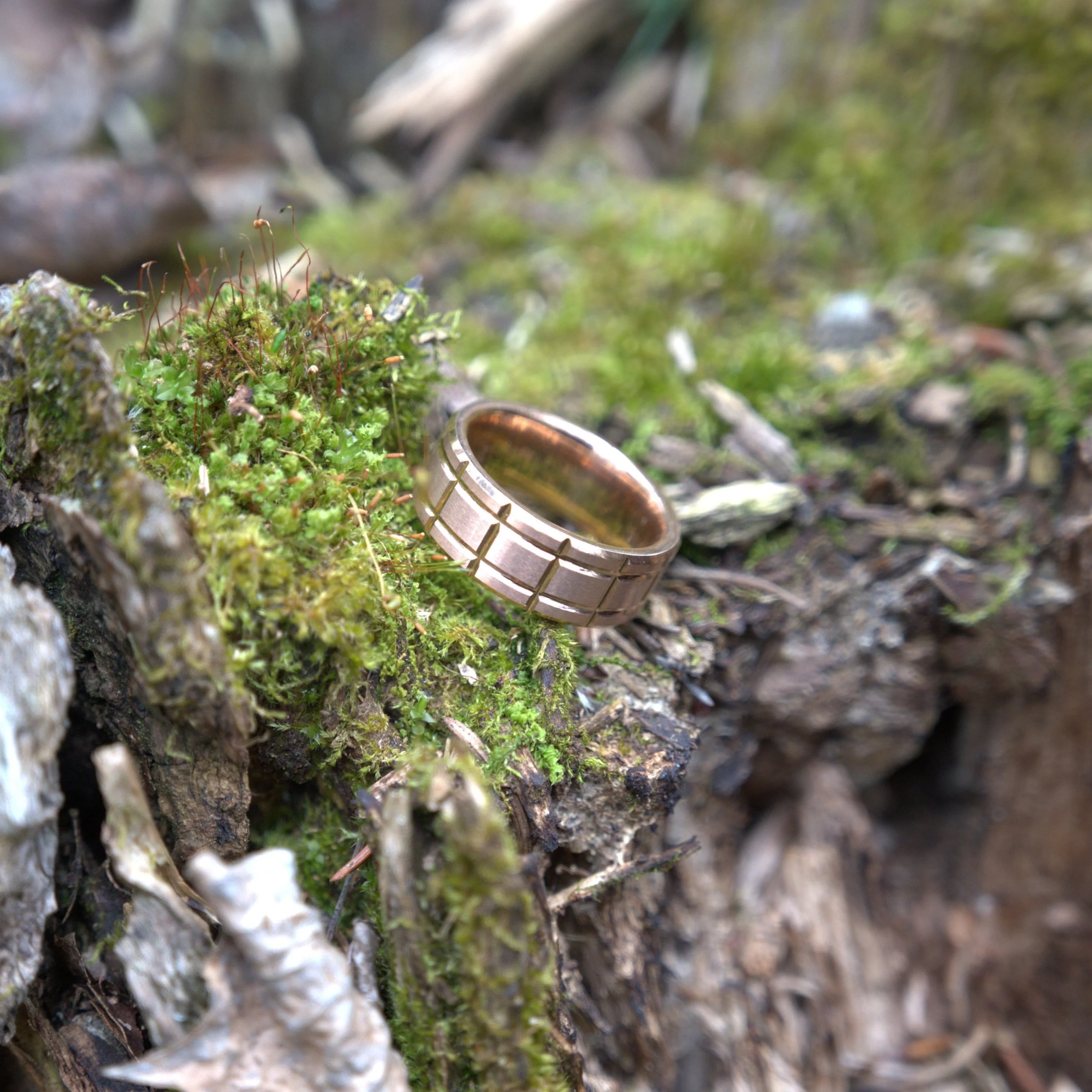 obrien-rose-gold-tungsten-geometric-lifestyle-forest.jpg.jpg