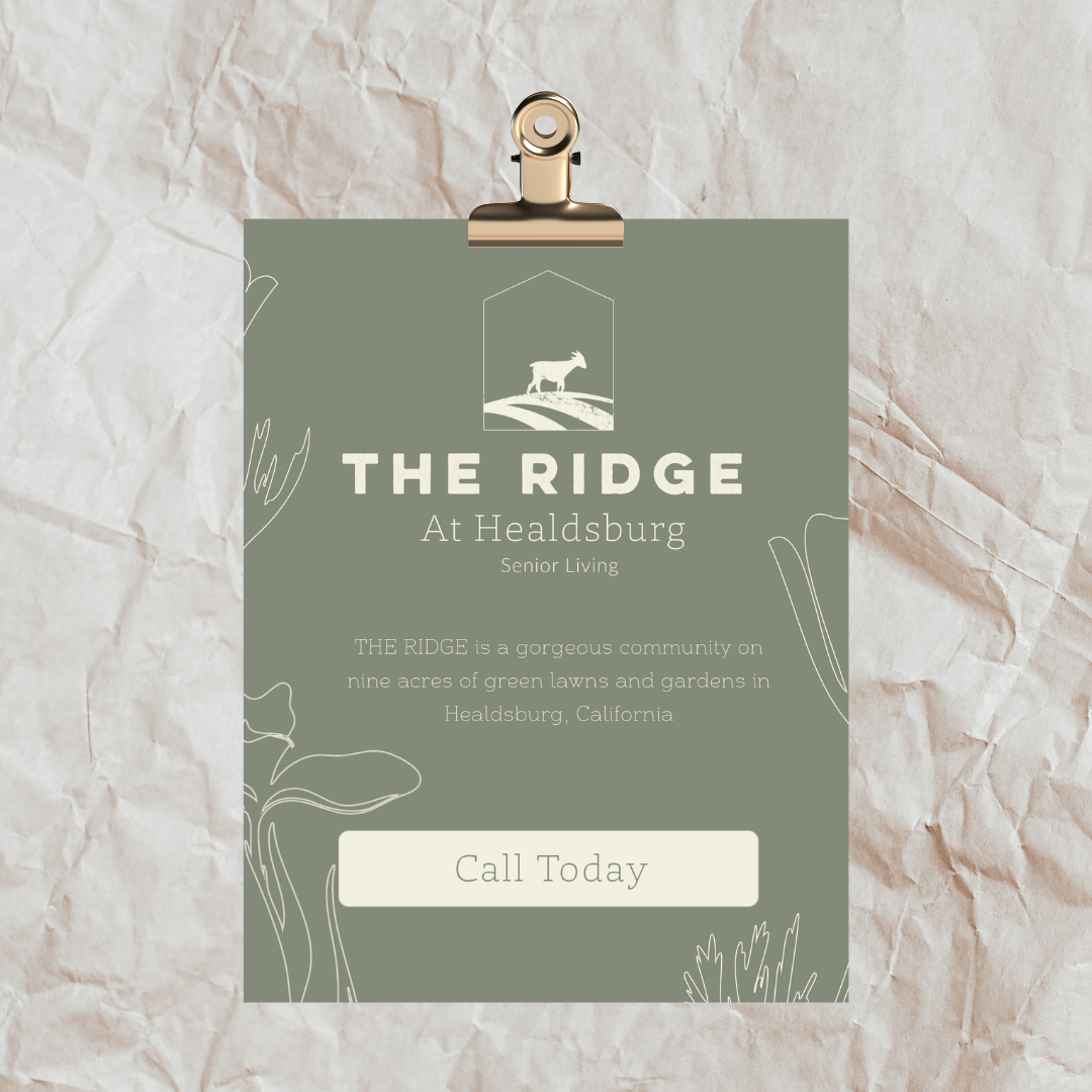 Neutral Tones Minimal Elegant US Letter Paper Mockup with Black Paper Clip.png