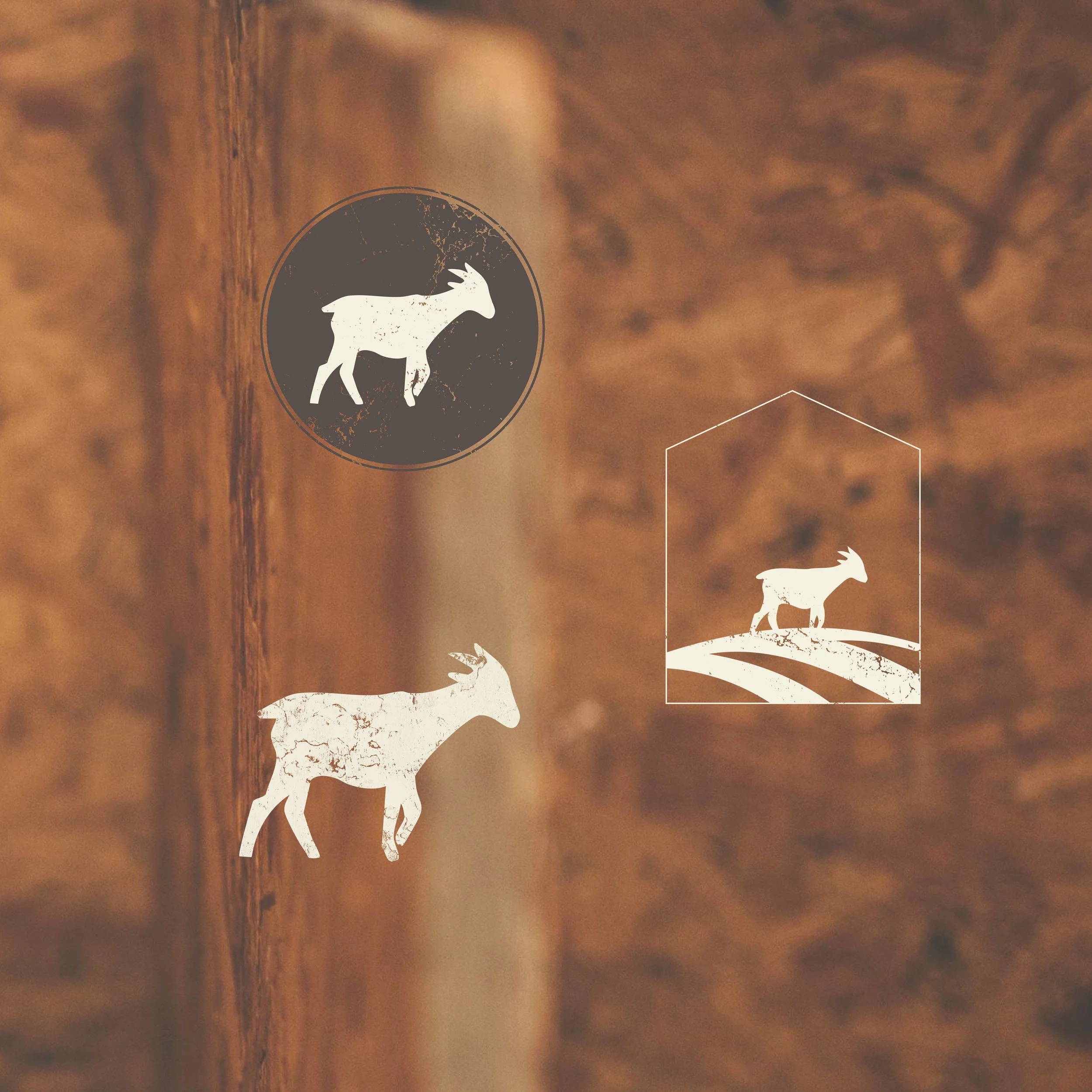 illustration color.jpg