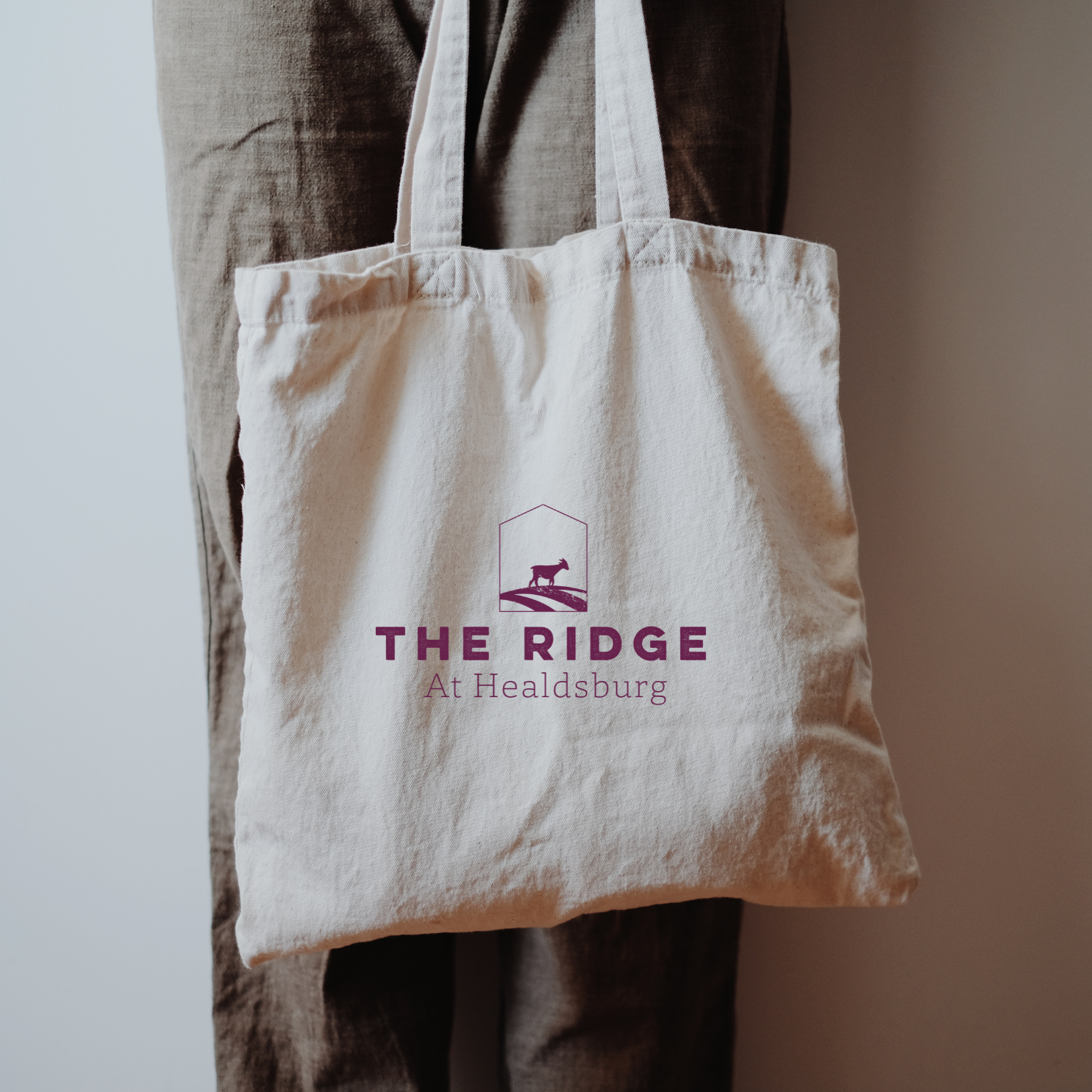 Brown Single Object Tote Bag Mockup Instagram Post.png