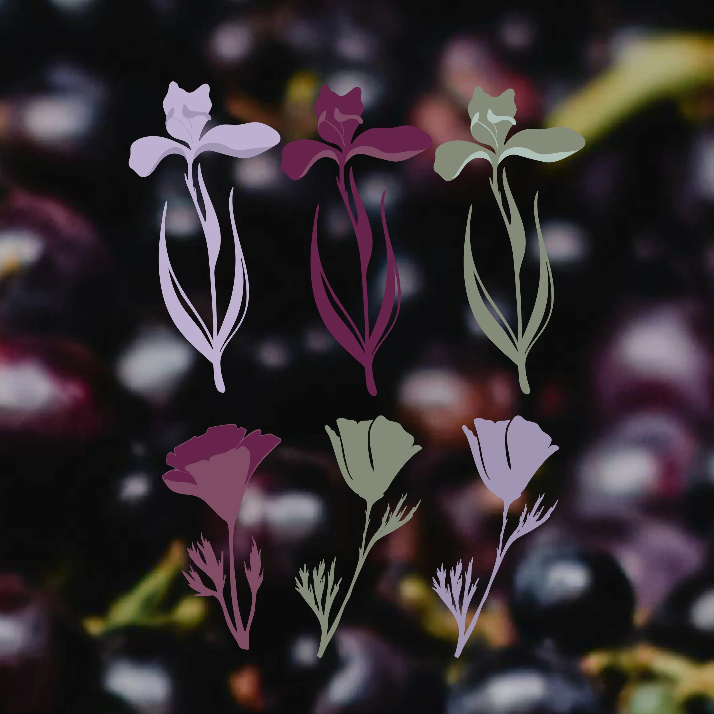 illustration color2.jpg