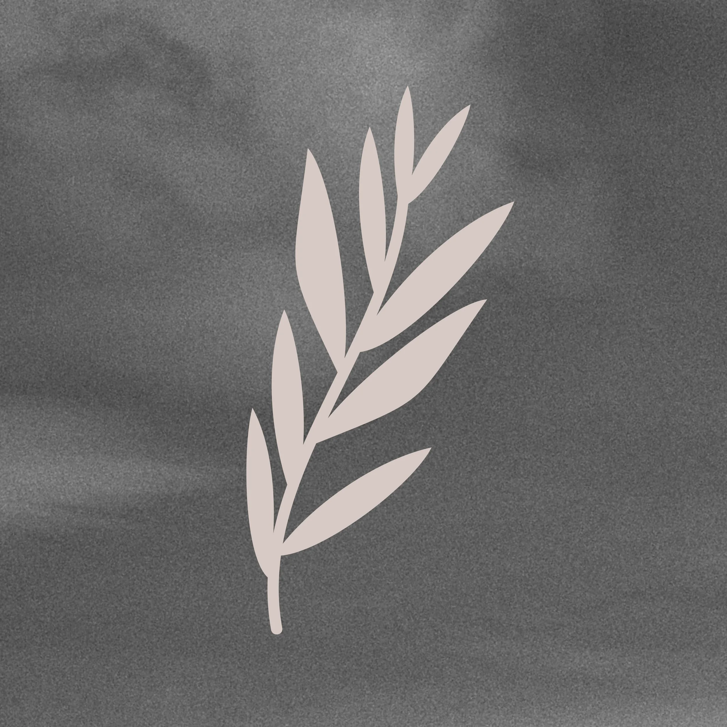 the vista logo options2.jpg