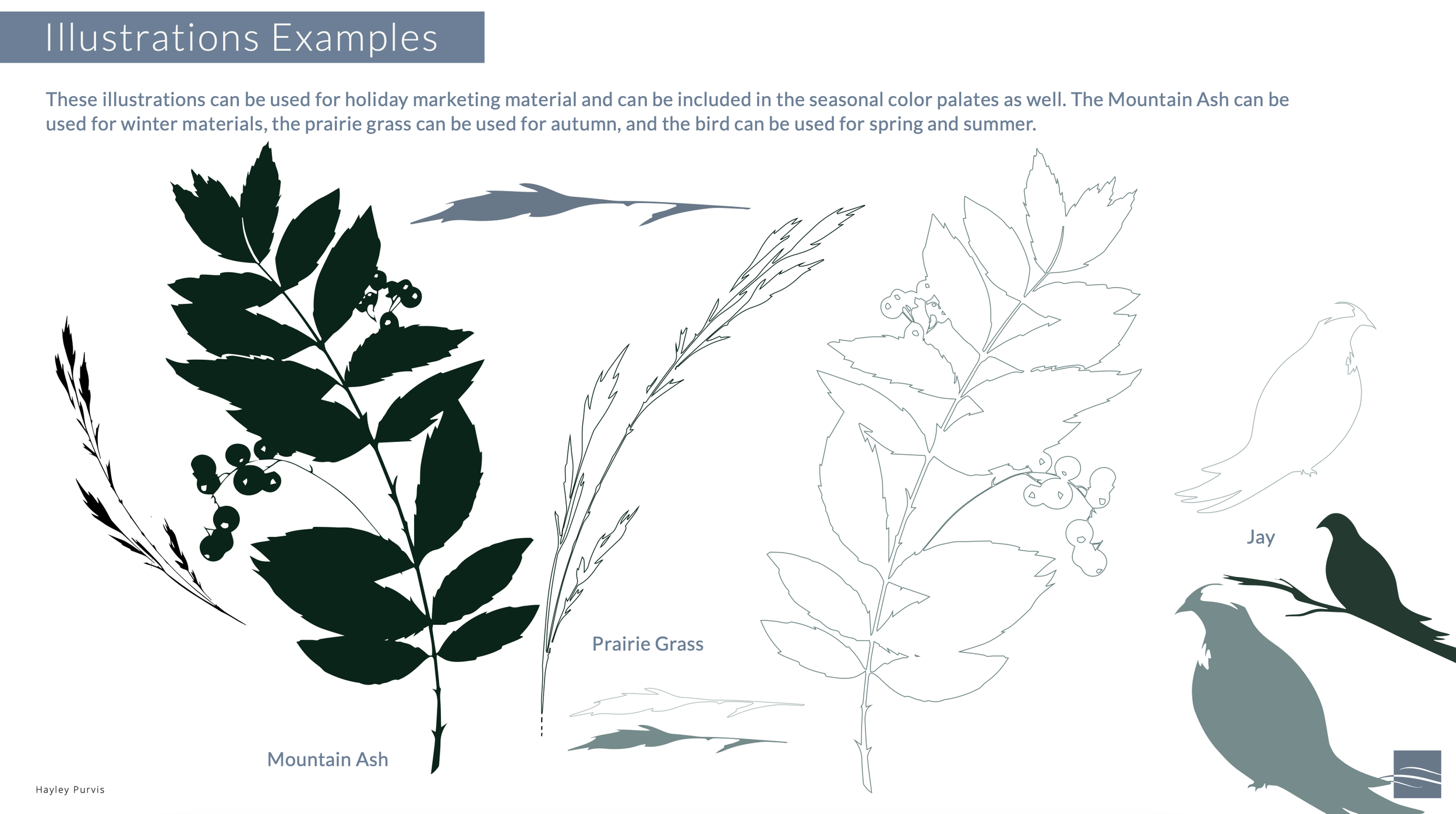 Screenshot 2026-01-14 at 3.04.31 PM.png