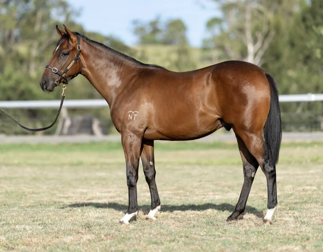 I Like Big Boats.jpeg