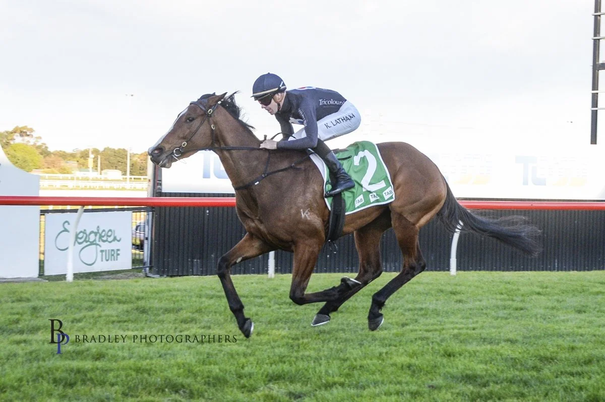 Artistic Venture.jpeg