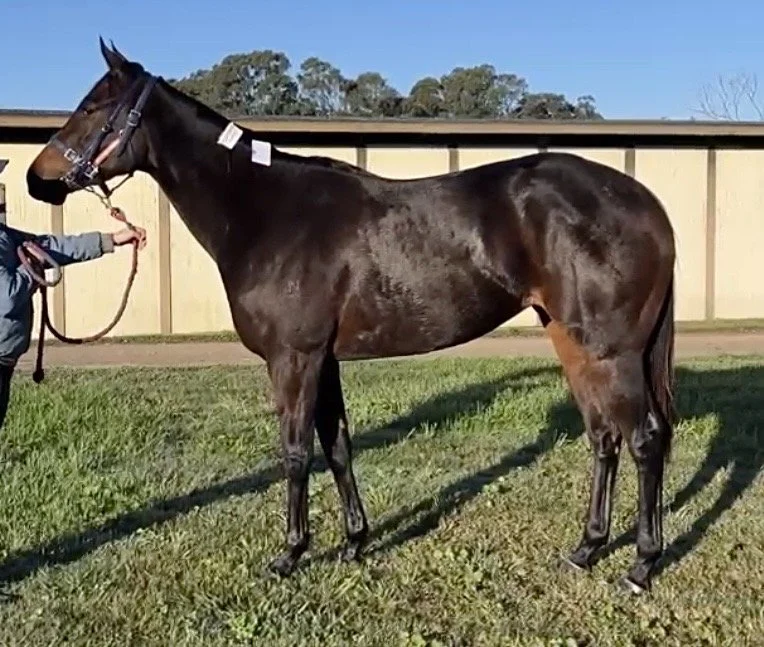 Beyond The Reef trained by John Sargent
