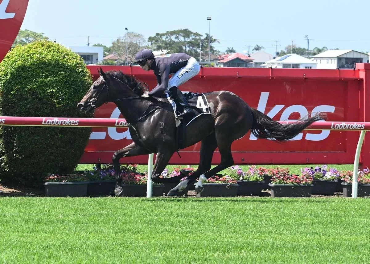 READY TO SCHIPP MAKES IT 3 WINS IN A ROW! 