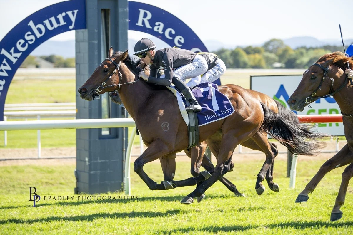 EXCITING 2YR OLD FILLY PORTLAND MISS WINS ON DEBUT IN FINE STYLE !