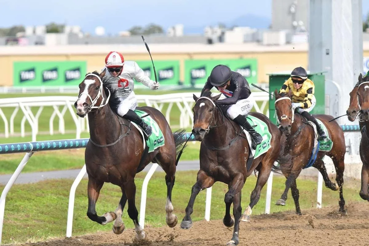 READY TO SCHIPP CRUISES IN WITH A GUTSY WIN !