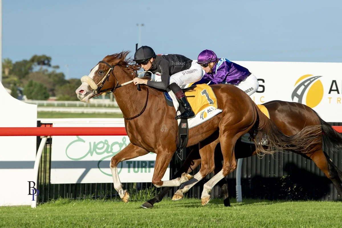 AUTUMN BLONDE WINS AT KEMBLA ! 