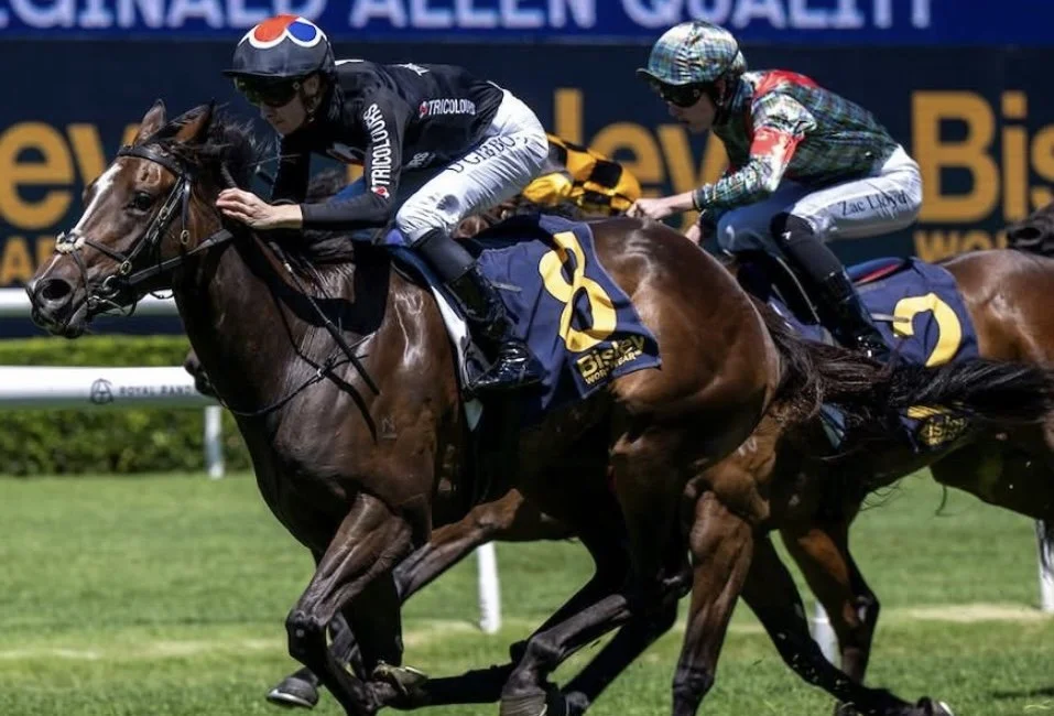THE THOROUGHBRED REPORT ARTICLE ON OUR BRILLIANT GROUP 3 WINNER BEYOND THE REEF